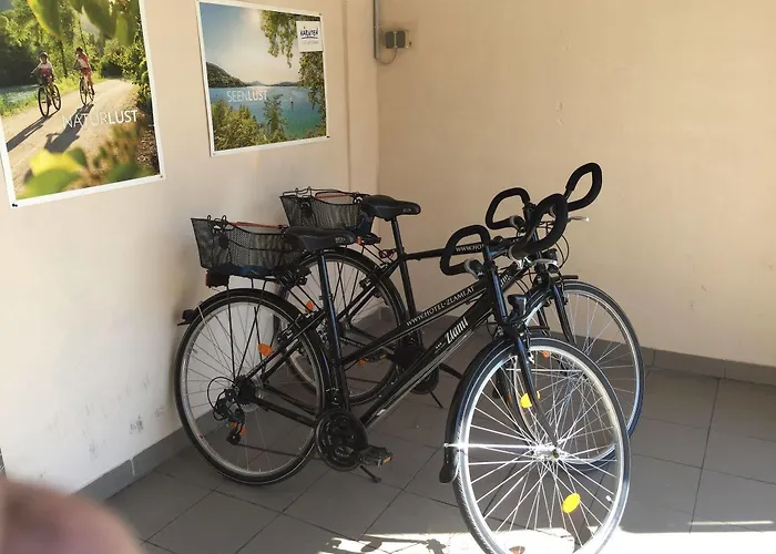 Hotel Hotel Zlami-Holzer